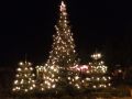 Leiseler Weihnachtsbaum 2013